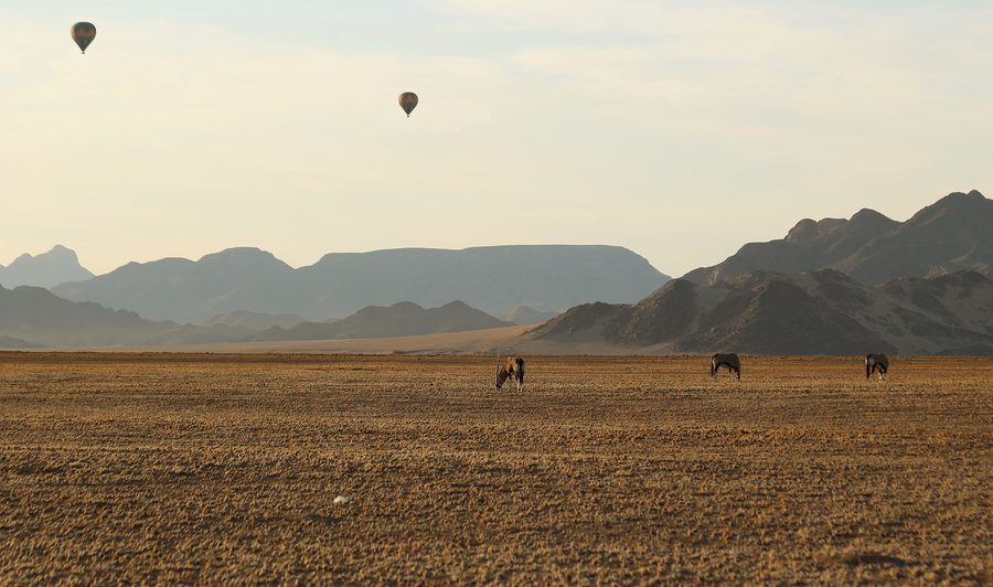 Hot air balloons and oryx at dawn, Namib desert, Namibia