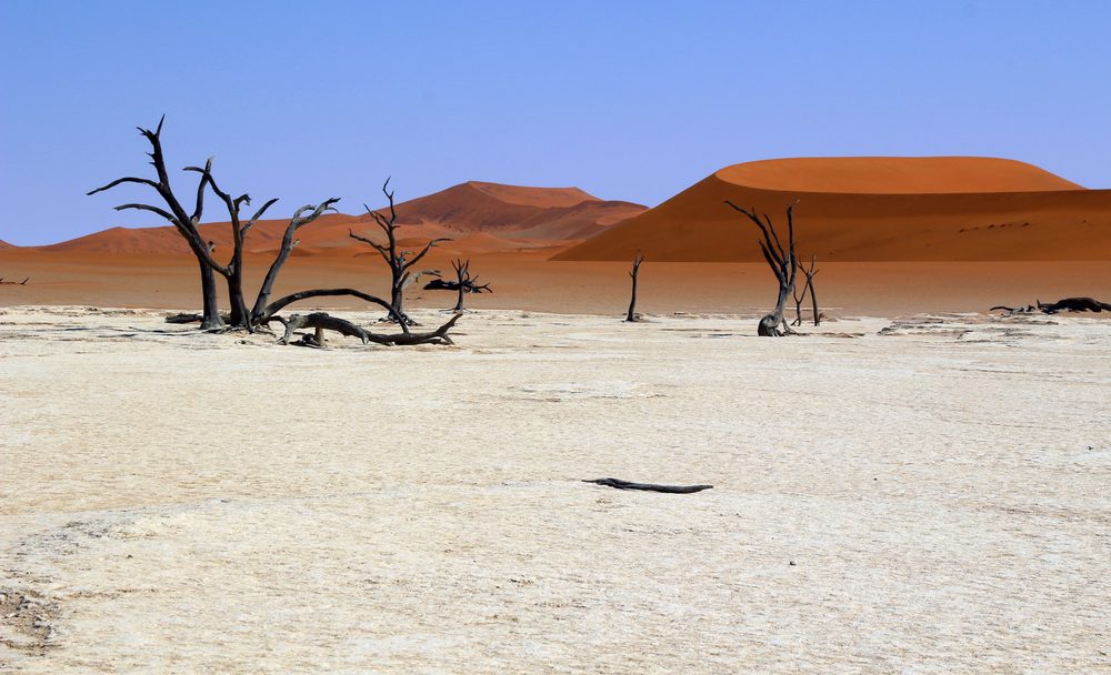 Deadvlei dead trees and red dunes, Namibia